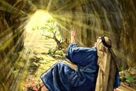 La convicción del deseo La convicción del deseo