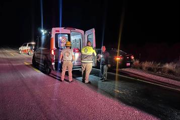 Atropellan vaca en General Ter&aacute;n