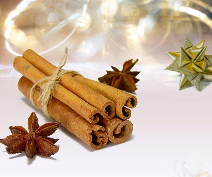 Navidad 2025: &iquest;por qu&eacute; va una vara de canela en el &aacute;rbol?