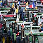 Pide Francia aplazar revisi&oacute;n del Mercosur