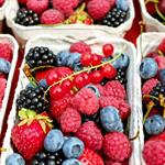 Caen exportaciones mexicanas de berries, ganado, jitomate y chiles