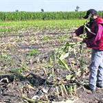 CNA reconoce crisis en el campo y llama al di&aacute;logo