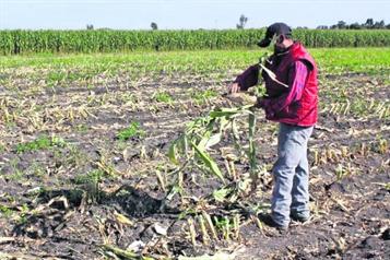 CNA reconoce crisis en el campo y llama al di&aacute;logo