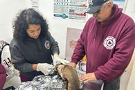 Explota tanque de gas en Escobedo Explota tanque de gas en Escobedo