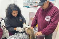 Explota tanque de gas en Escobedo