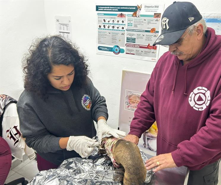 Explota tanque de gas en Escobedo Explota tanque de gas en Escobedo
