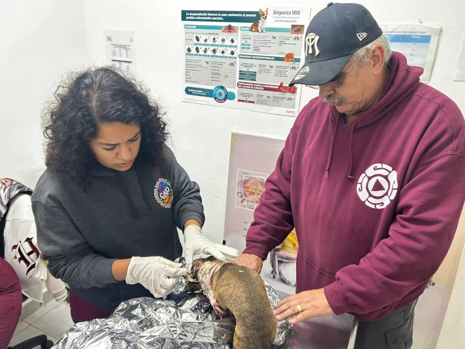 A causa de la explosi&oacute;n de un tanque de gas, cuatro miembros de una familia y su mascota resultaron lesionados, en Escobedo.