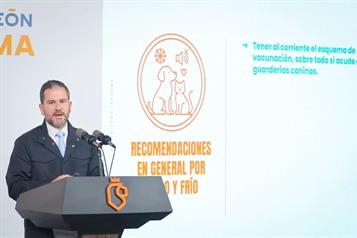 Recomiendan proteger a mascotas durante fiestas navide&ntilde;as