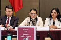 Encabeza Rosa Icela sesi&oacute;n del Sistema Nacional de B&uacute;squeda