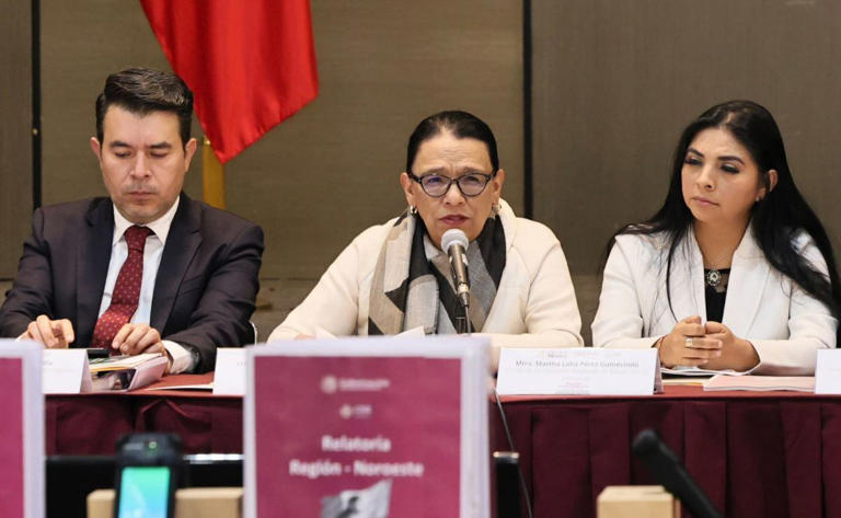 Encabeza Rosa Icela sesi&oacute;n del Sistema Nacional de B&uacute;squeda