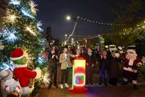 Encienden pino en Centrito