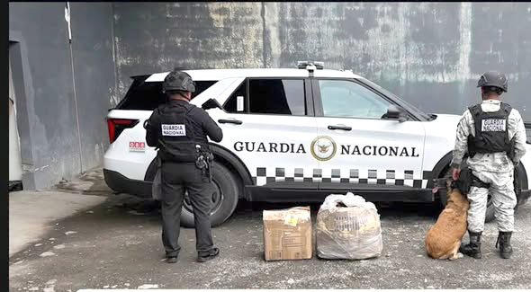 Decomisan 51 kilos de pirotecnia en Allende