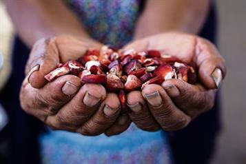 Defiende CNA al T-MEC; descarta sacarlo del comercio de ma&iacute;z