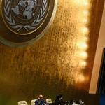 ONU incluye a M&eacute;xico en programa global de agricultura sostenible