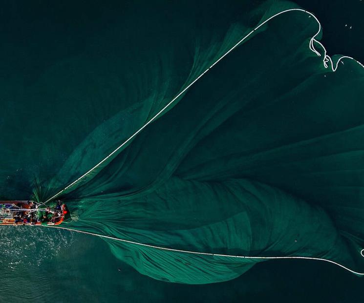 La pesca de arrastre pone en riesgo a los océanos, acusan La pesca de arrastre pone en riesgo a los océanos, acusan