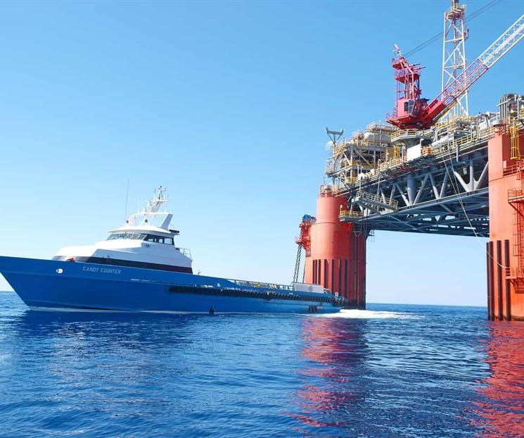 Ambientalistas acusan da&ntilde;os en el Golfo de M&eacute;xico