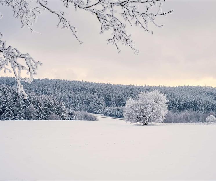 Solsticio de invierno 2025; la hora exacta del cambio de estación Solsticio de invierno 2025; la hora exacta del cambio de estación