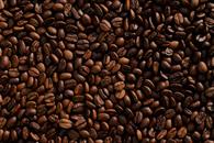 Unifican reglas para producir y comercializar el caf&eacute;