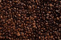 Unifican reglas para producir y comercializar el caf&eacute;