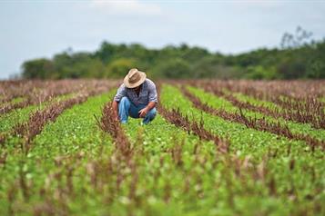 Incluye FAO a M&eacute;xico en programa global de agricultura sostenible