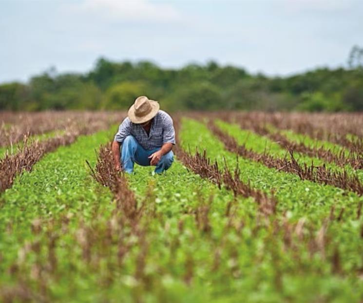 Incluye FAO a M&eacute;xico en programa global de agricultura sostenible