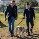 Alistan adopci&oacute;n responsable de perrita maratonista