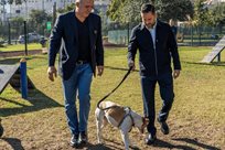 Alistan adopci&oacute;n responsable de perrita maratonista