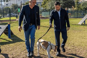 Alistan adopción responsable de perrita maratonista