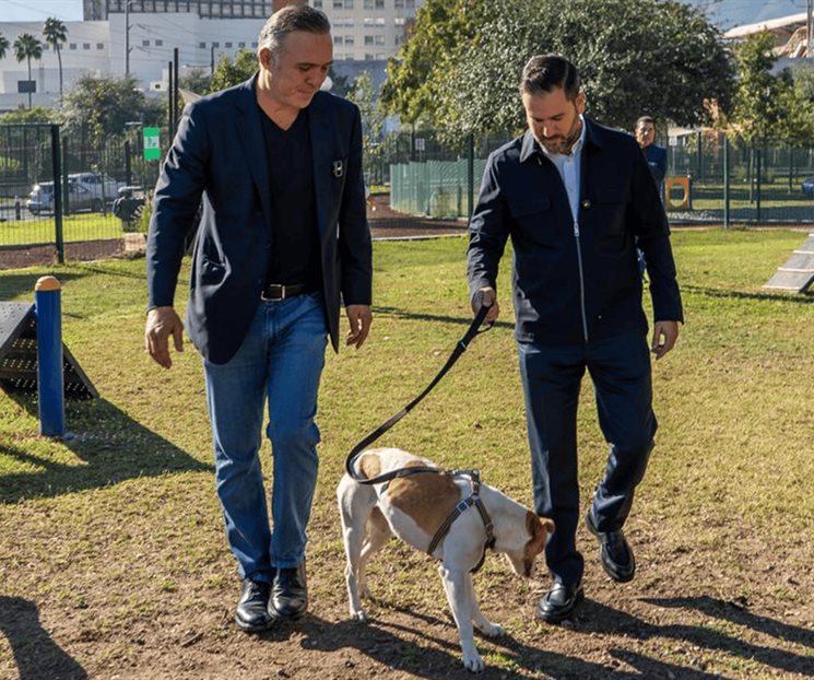 Alistan adopci&oacute;n responsable de perrita maratonista