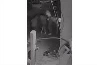 Ocasionan incendio de casa