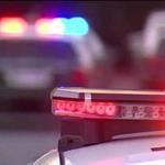 Persigue oso a senderistas en el Cerro del Chup&oacute;n; piden ayuda