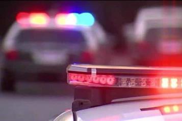 Persigue oso a senderistas en el Cerro del Chup&oacute;n; piden ayuda