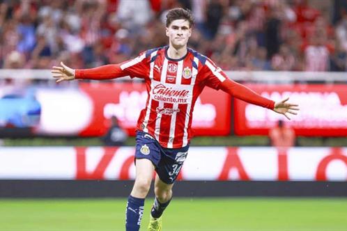 Hormiga at&oacute;mica