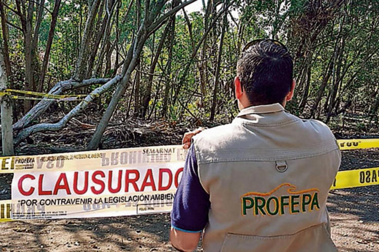 Profepa alerta sobre fraudes a trav&eacute;s de falsos inspectores