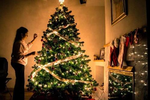 Llena pino navide&ntilde;o de luz y esperanza a los hogares