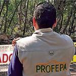 Profepa alerta sobre fraudes a trav&eacute;s de falsos inspectores