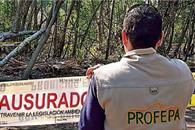 Profepa alerta sobre fraudes a trav&eacute;s de falsos inspectores