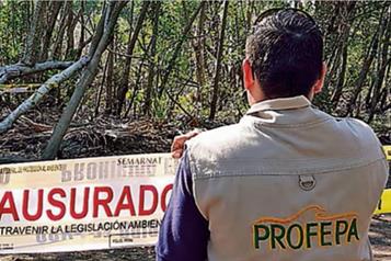 Profepa alerta sobre fraudes a trav&eacute;s de falsos inspectores