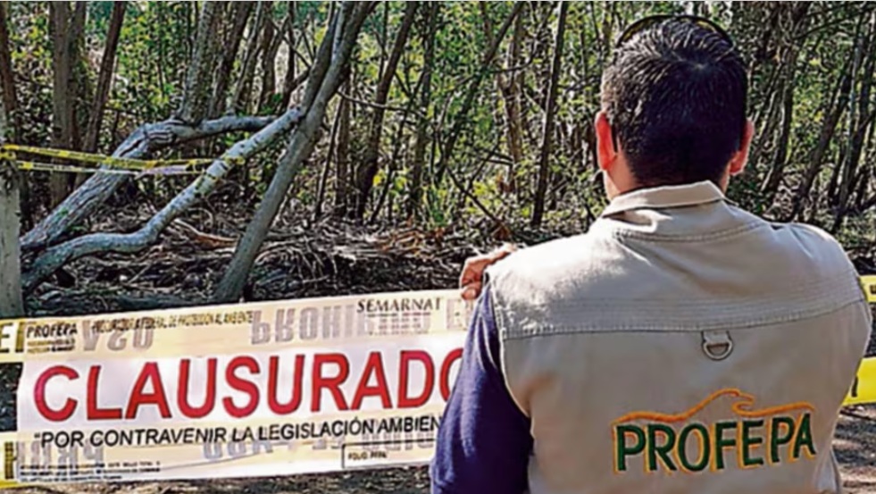 Profepa alerta sobre fraudes a trav&eacute;s de falsos inspectores