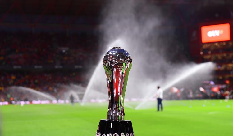 En Liguilla se podr&aacute;n reforzar con jugadores de clubes eliminados 