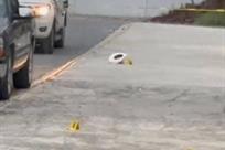 Mata a su hermano en fiesta de Navidad