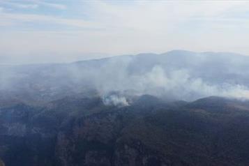 Combaten incendio en Arriaga, Chiapas; afectadas 380 hect&aacute;reas