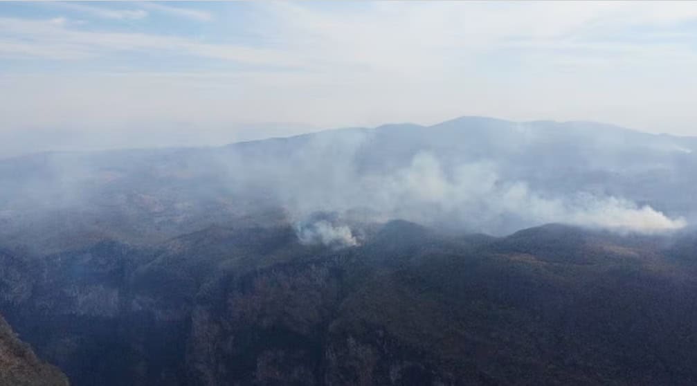 Combaten incendio en Arriaga, Chiapas; afectadas 380 hect&aacute;reas