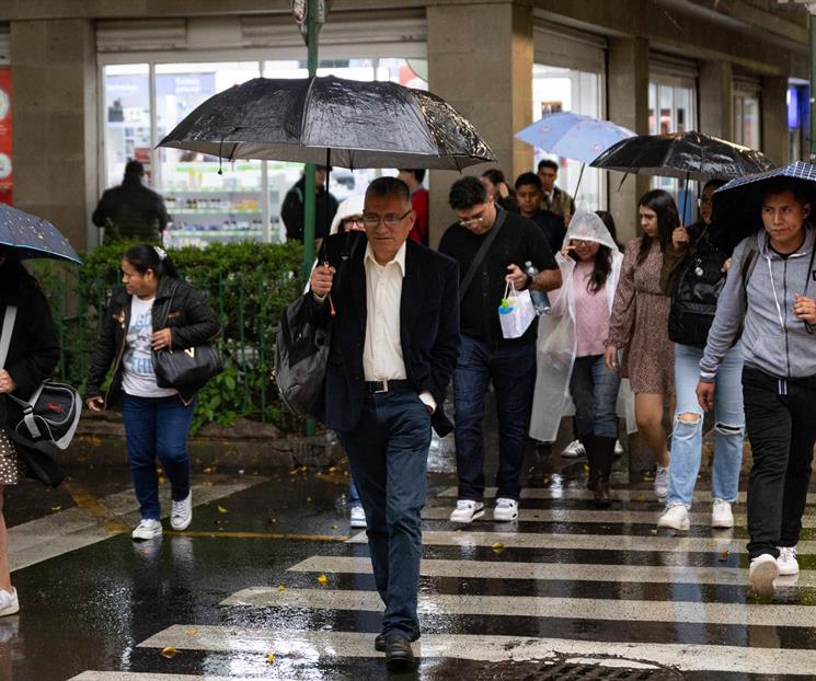 &iquest;Cu&aacute;nto llovi&oacute; en la CDMX durante 2025?