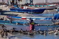 Semar cierra puerto de La Paz por vientos del norte