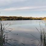 Promueve NL recuperaci&oacute;n y preservaci&oacute;n de humedales