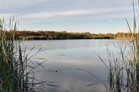 Promueve NL recuperaci&oacute;n y preservaci&oacute;n de humedales