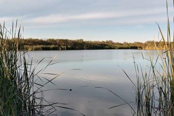 Promueve NL recuperaci&oacute;n y preservaci&oacute;n de humedales