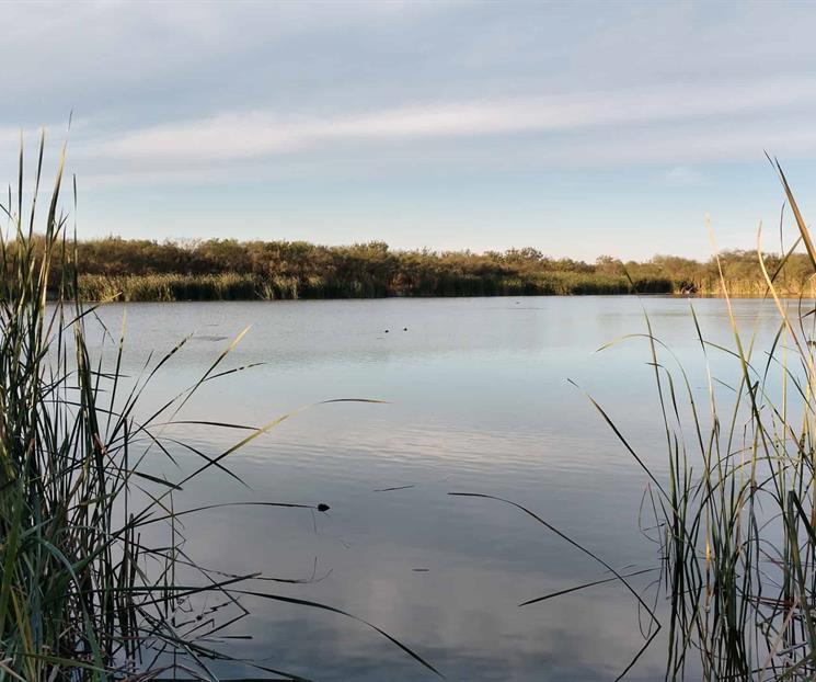 Promueve NL recuperaci&oacute;n y preservaci&oacute;n de humedales