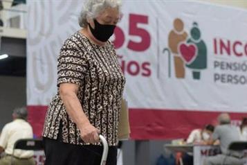 Propone PVEM c&aacute;rcel a quienes gasten pensi&oacute;n sin consentimiento